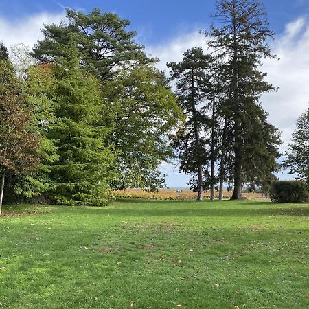 Manoir De Villamont Savigny-lès-Beaune Kültér fotó